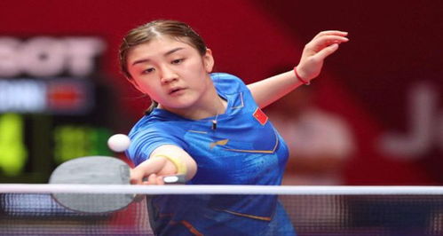 贝拉俱乐部 贝拉俱乐部